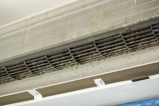 Best HVAC Air Duct Cleaning  in Standish, MI