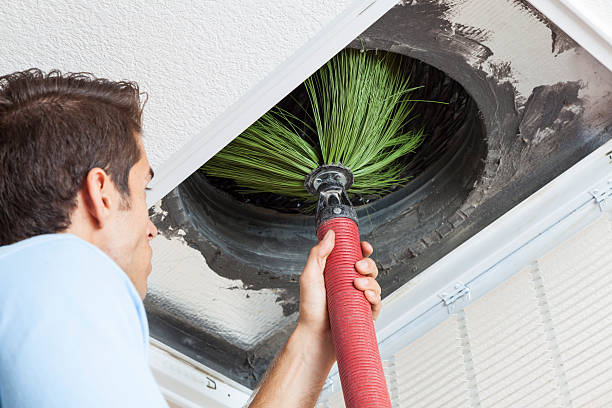 Best Home Air Vent Cleaning  in Standish, MI